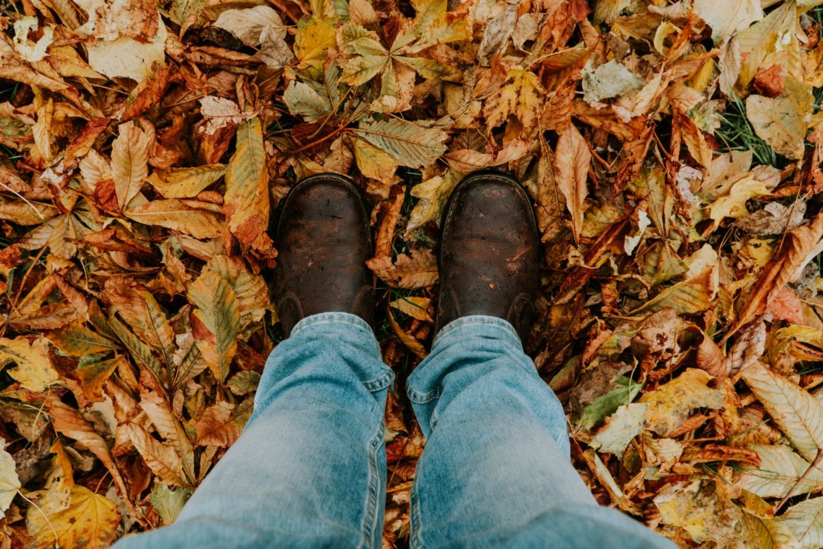 person in leather shoe standing in autumn leaves