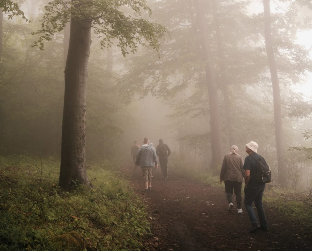 People walking in mist in forest